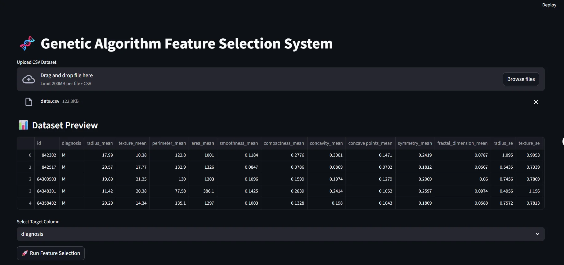The genetic algorithm feature selection app with a dataset preview and a target column selector.